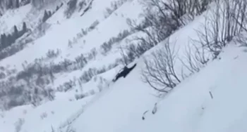 В Сочи девушка пыталась достать перчатку на горнолыжном склоне и свалилась в обрыв.