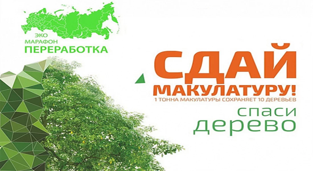 В Год экологии сочинцы смогут поучаствовать во всероссийском эко-марафоне «Сдай макулатуру – спаси дерево»
